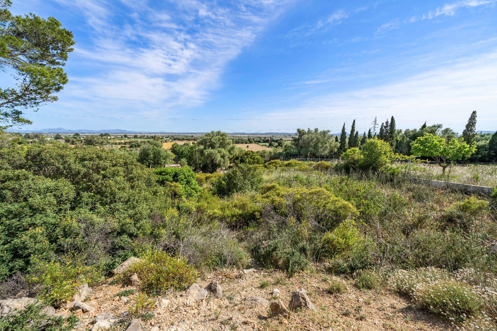 Terreno de 140.000 m2 en Alcudia con licencia de obra y vistas al mar