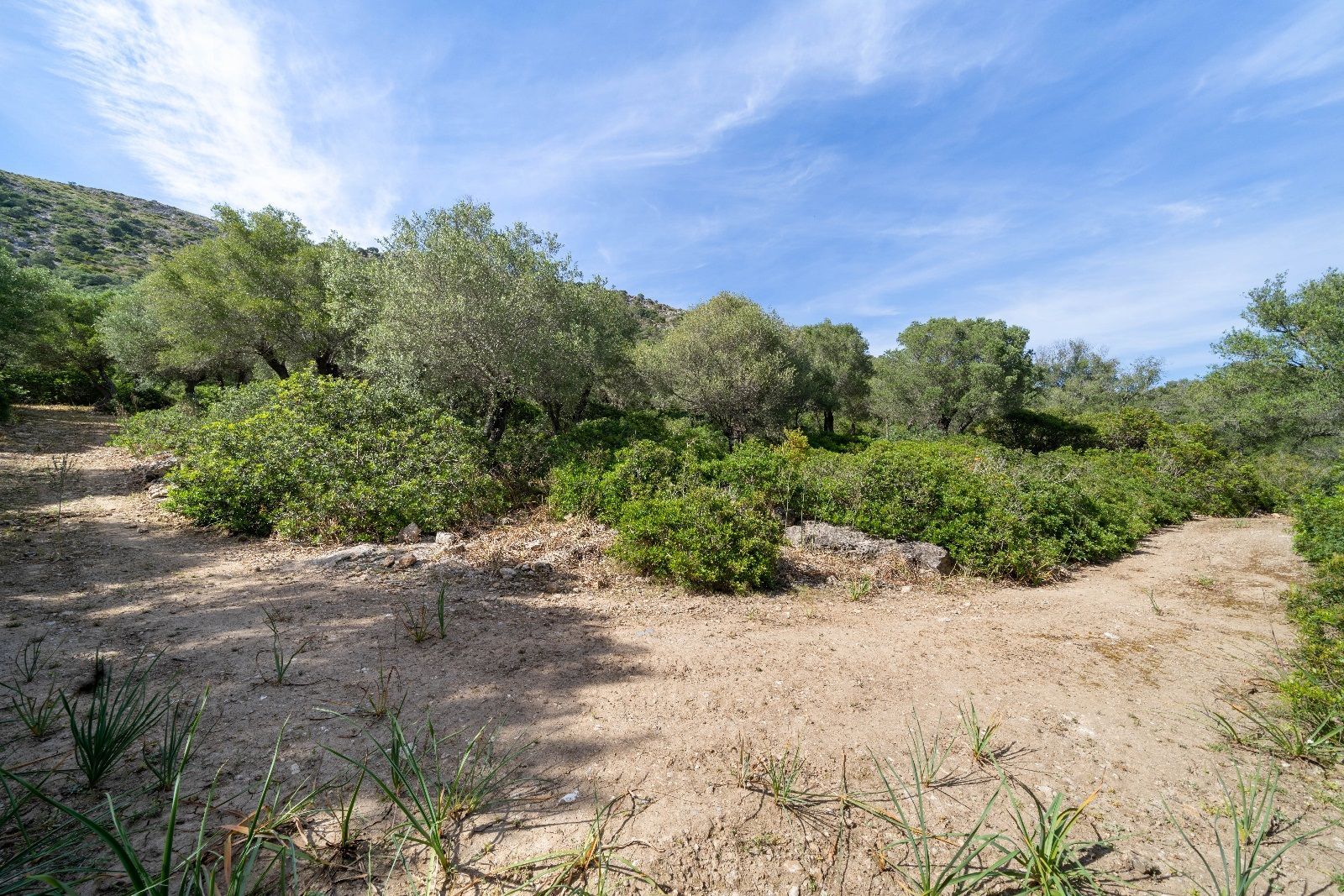 Terreno de 140.000 m2 en Alcudia con licencia de obra y vistas al mar
