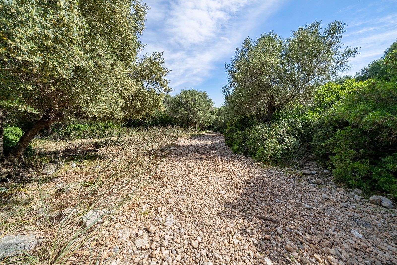 Terreno de 140.000 m2 en Alcudia con licencia de obra y vistas al mar