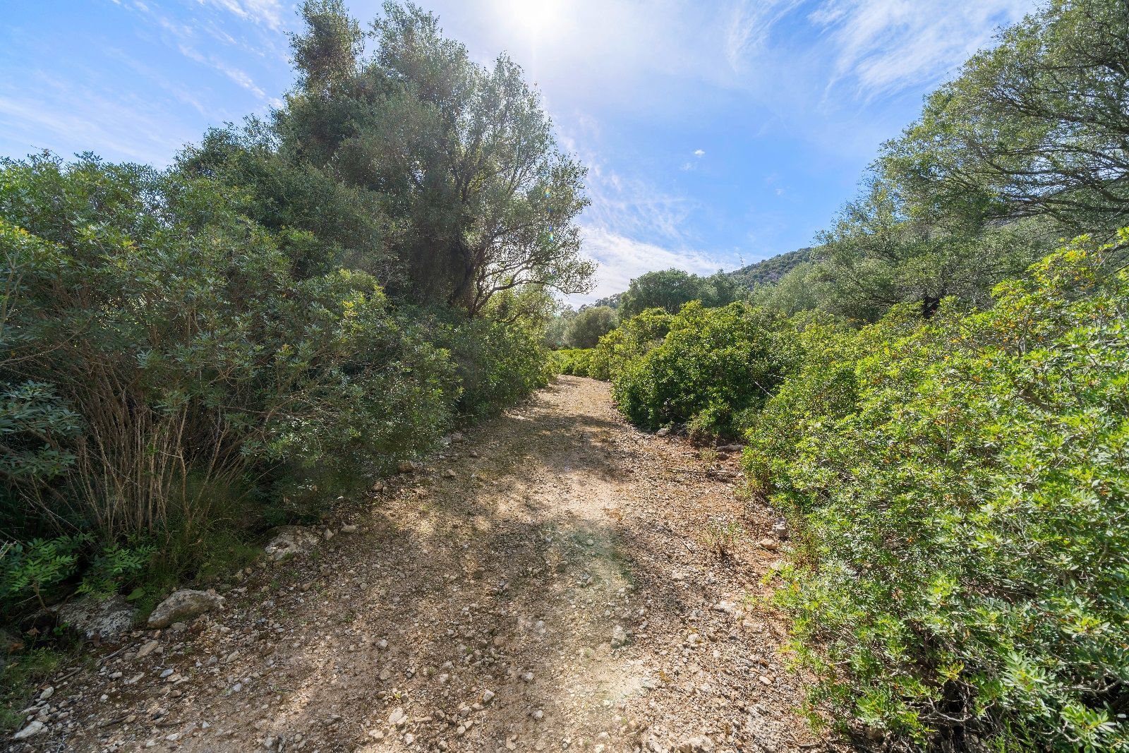 Terreno de 140.000 m2 en Alcudia con licencia de obra y vistas al mar