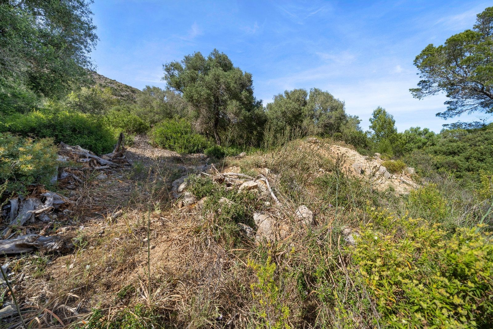 Terreno de 140.000 m2 en Alcudia con licencia de obra y vistas al mar