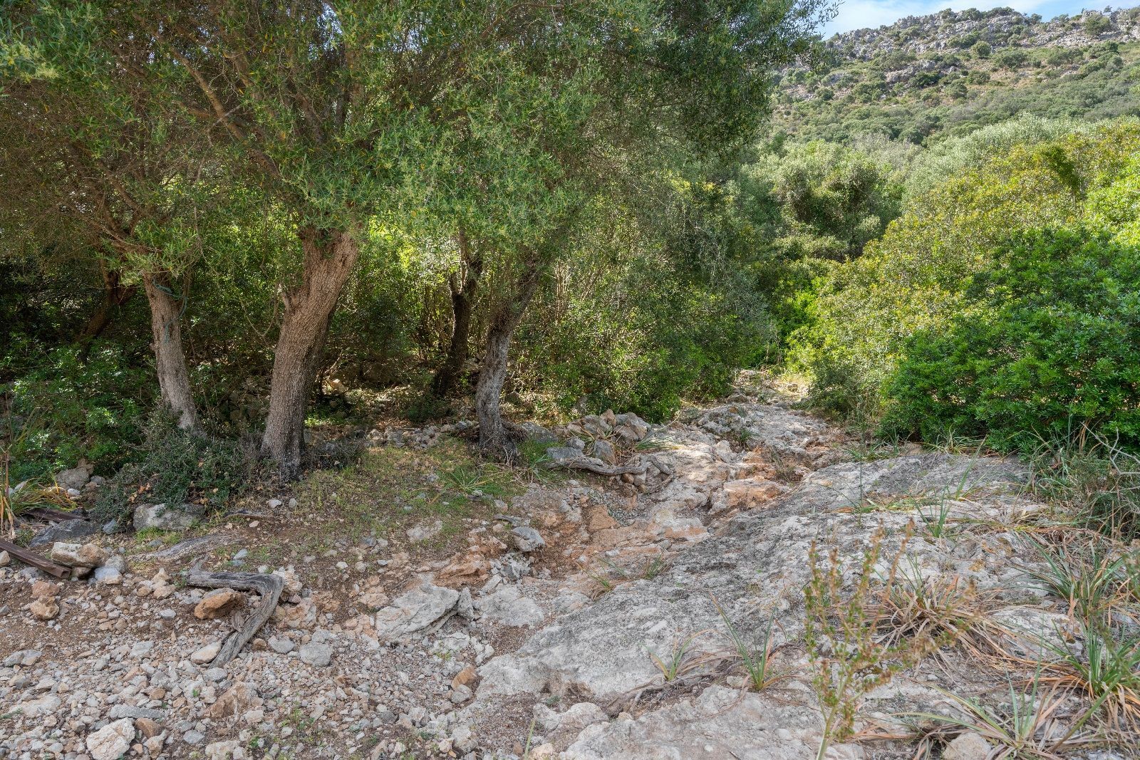 Terreno de 140.000 m2 en Alcudia con licencia de obra y vistas al mar