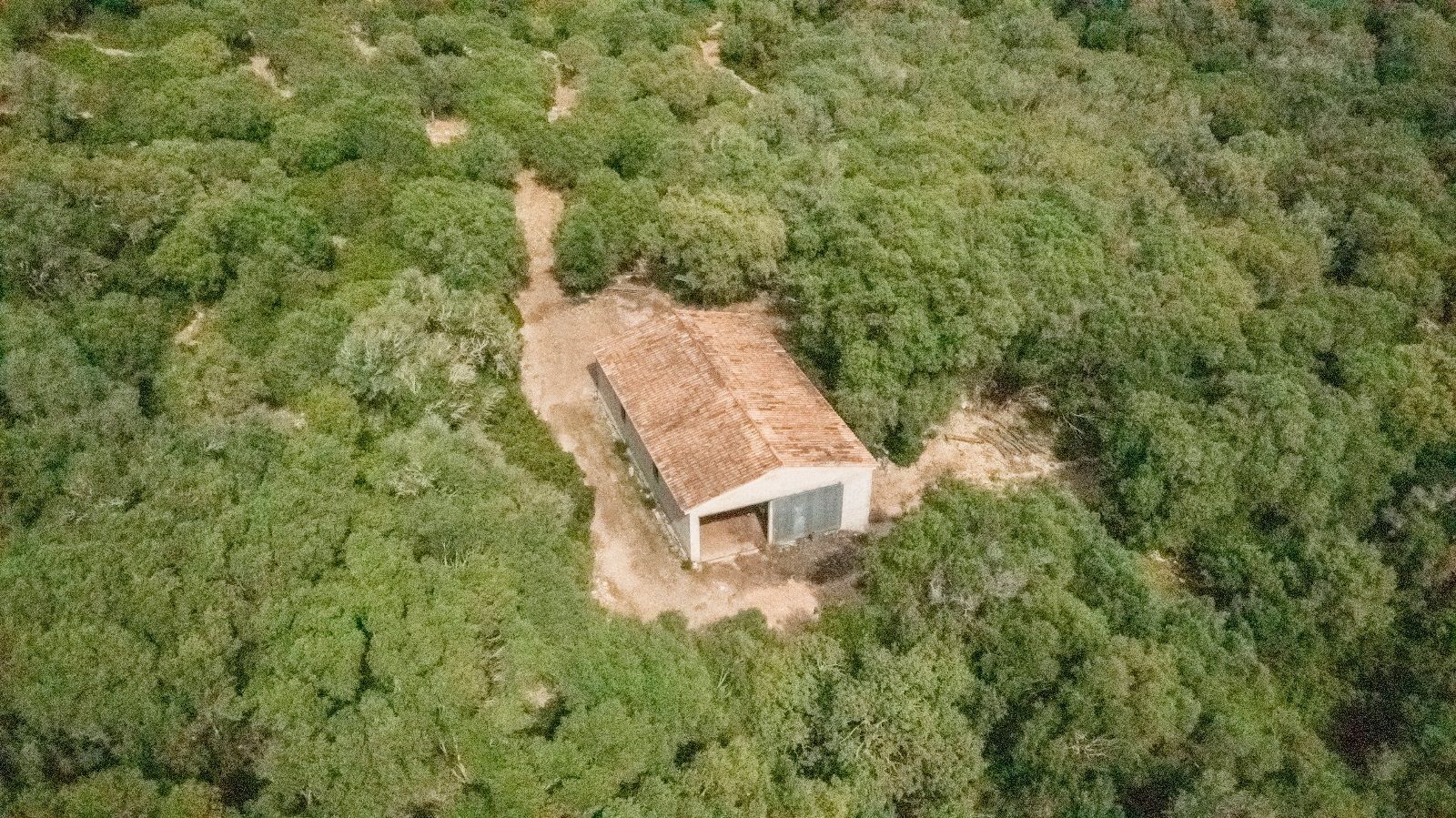 Terreno de 140.000 m2 en Alcudia con licencia de obra y vistas al mar