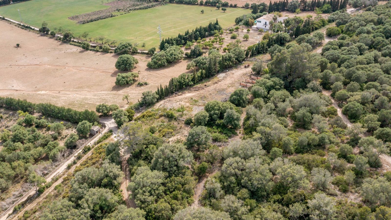 Terreno de 140.000 m2 en Alcudia con licencia de obra y vistas al mar