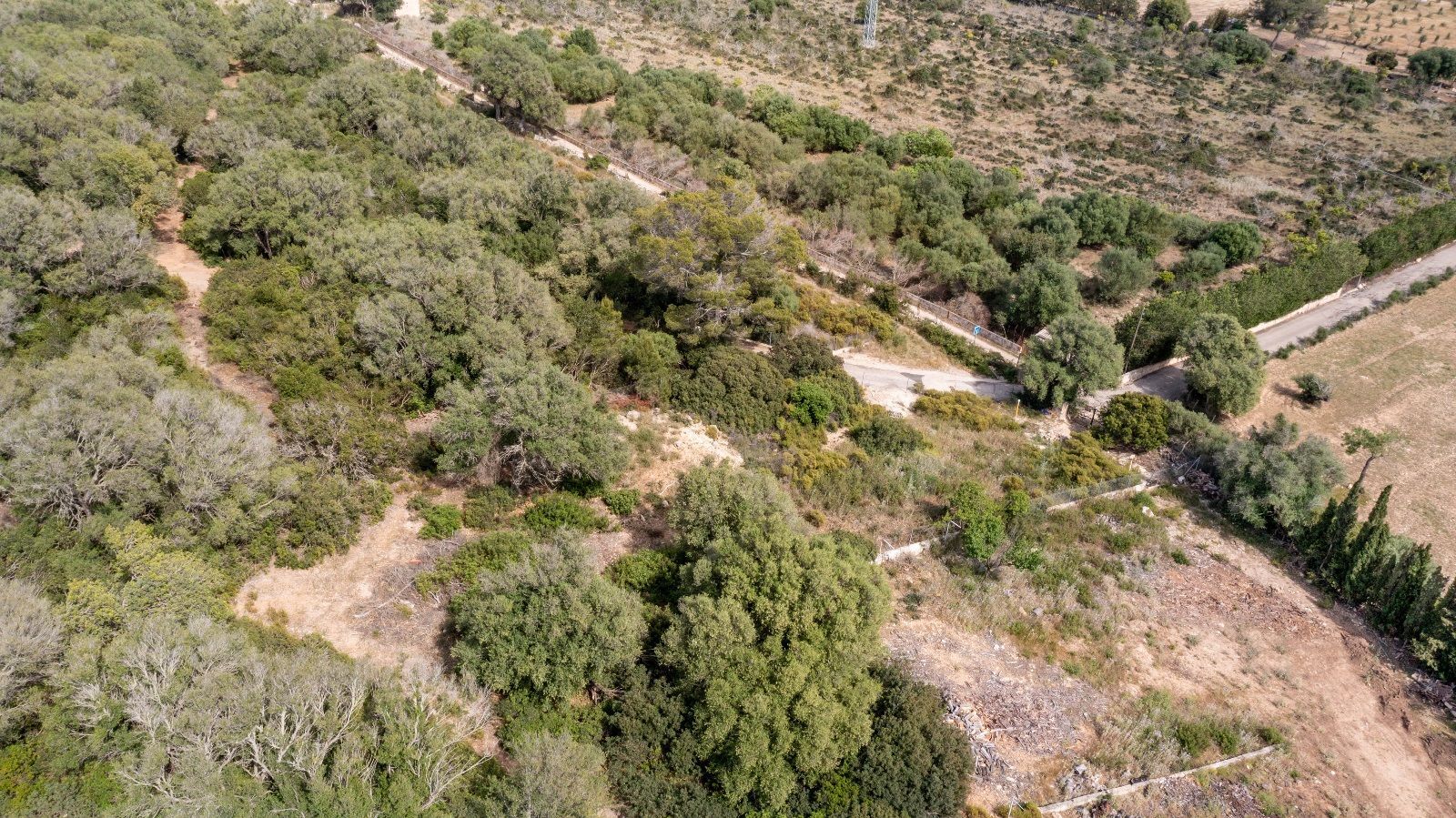 Terreno de 140.000 m2 en Alcudia con licencia de obra y vistas al mar