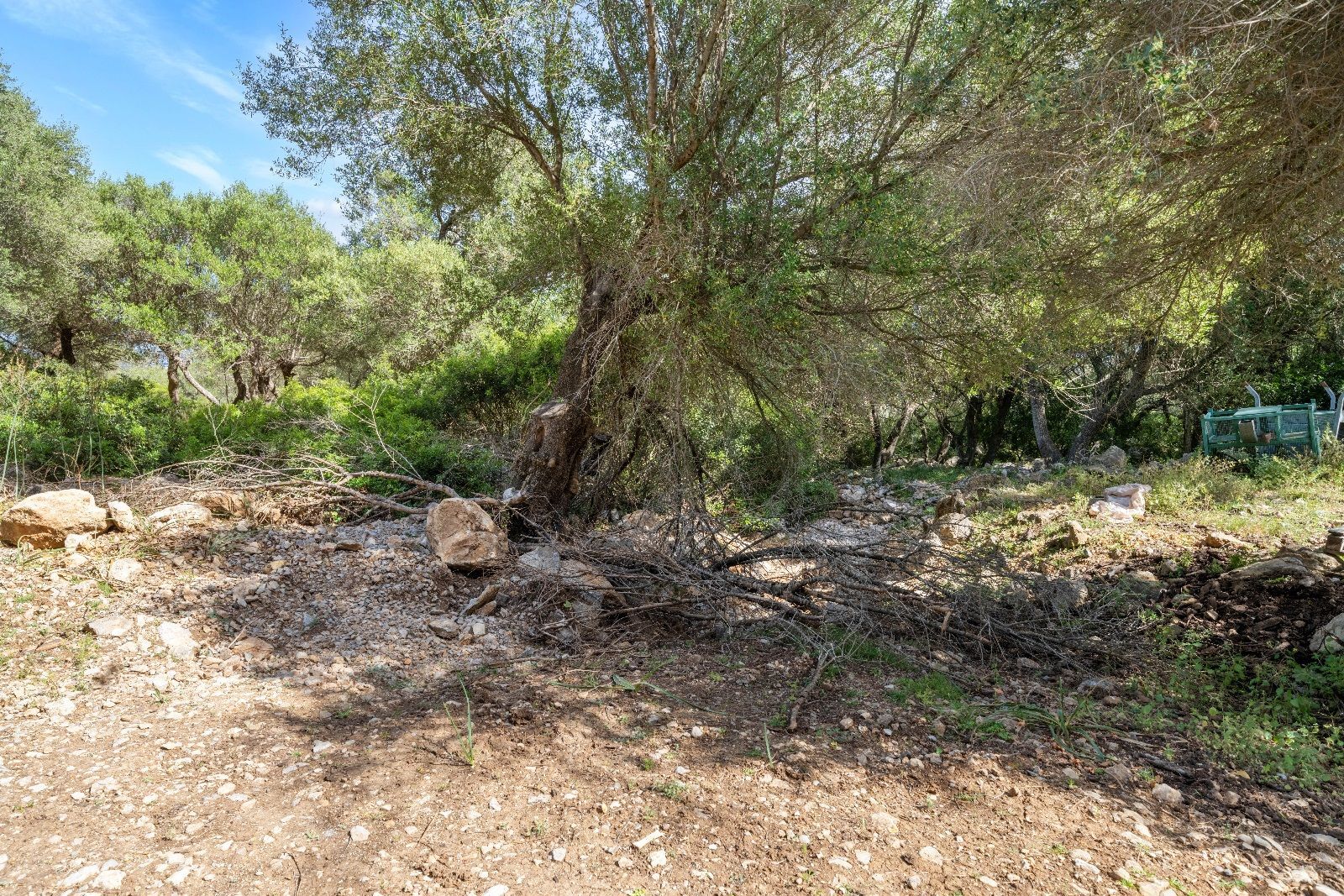 Terreno de 140.000 m2 en Alcudia con licencia de obra y vistas al mar