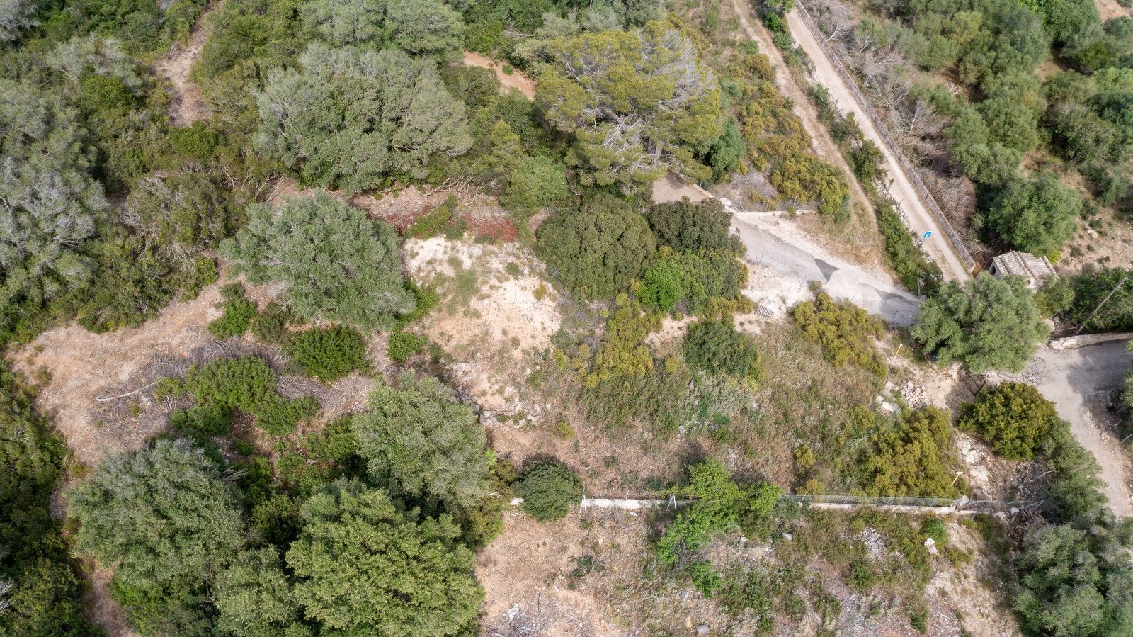 Terreno de 140.000 m2 en Alcudia con licencia de obra y vistas al mar