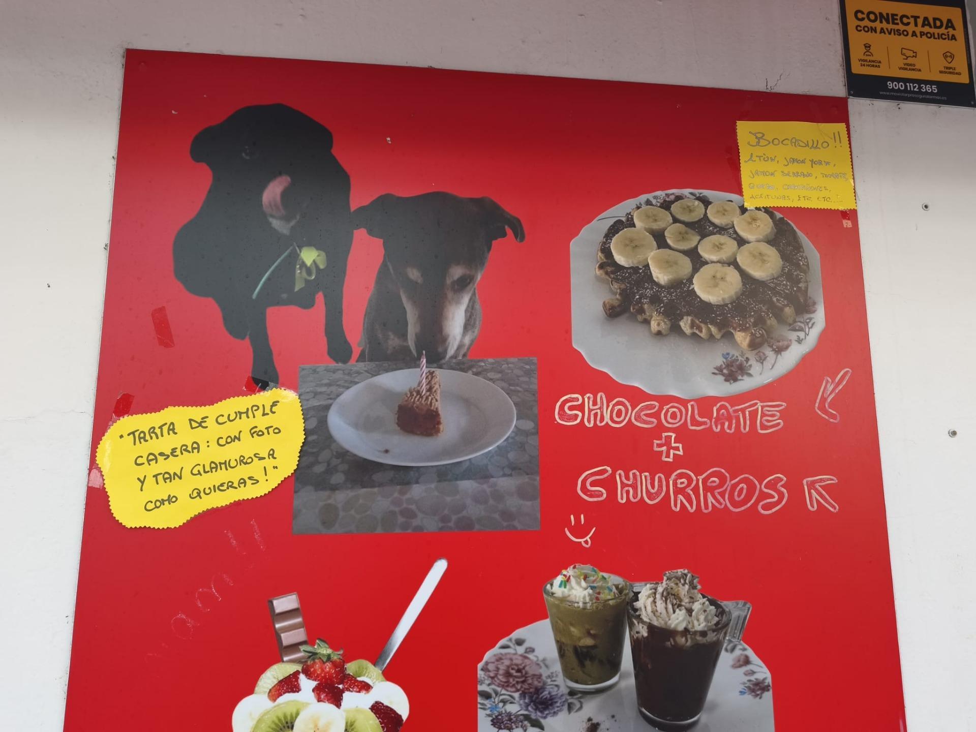 traspaso Cafetería con Encanto y Gran Terraza ? Concepto Pet Friendly Único en la Zona