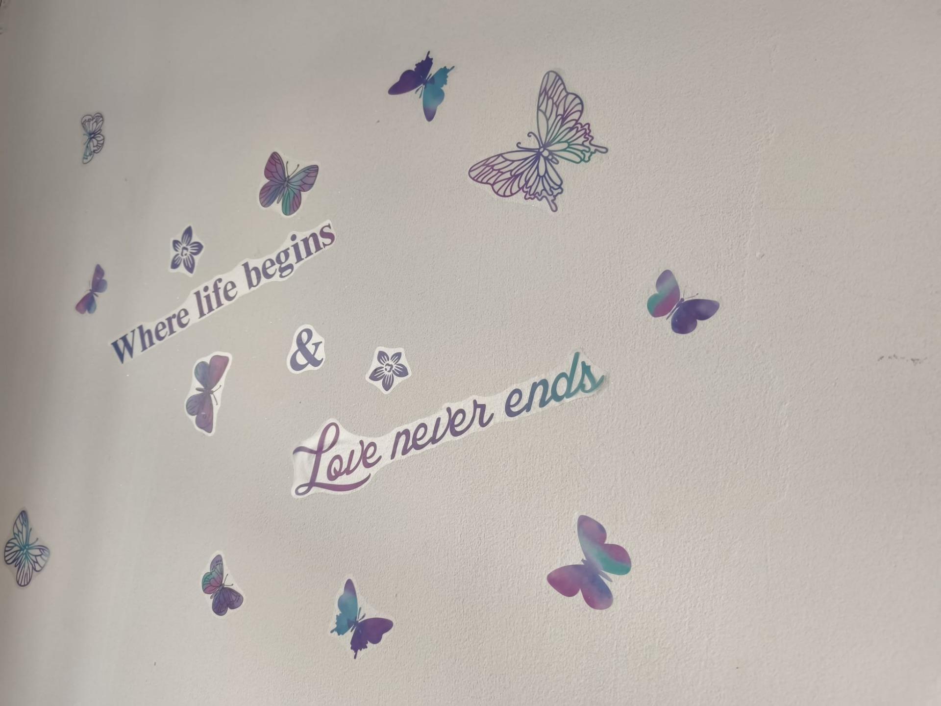 traspaso Cafetería con Encanto y Gran Terraza ? Concepto Pet Friendly Único en la Zona