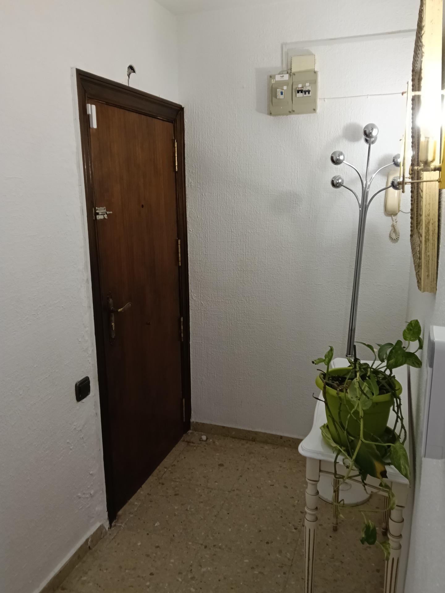 Pisos-Venta-Alicante-2208880-Foto-7