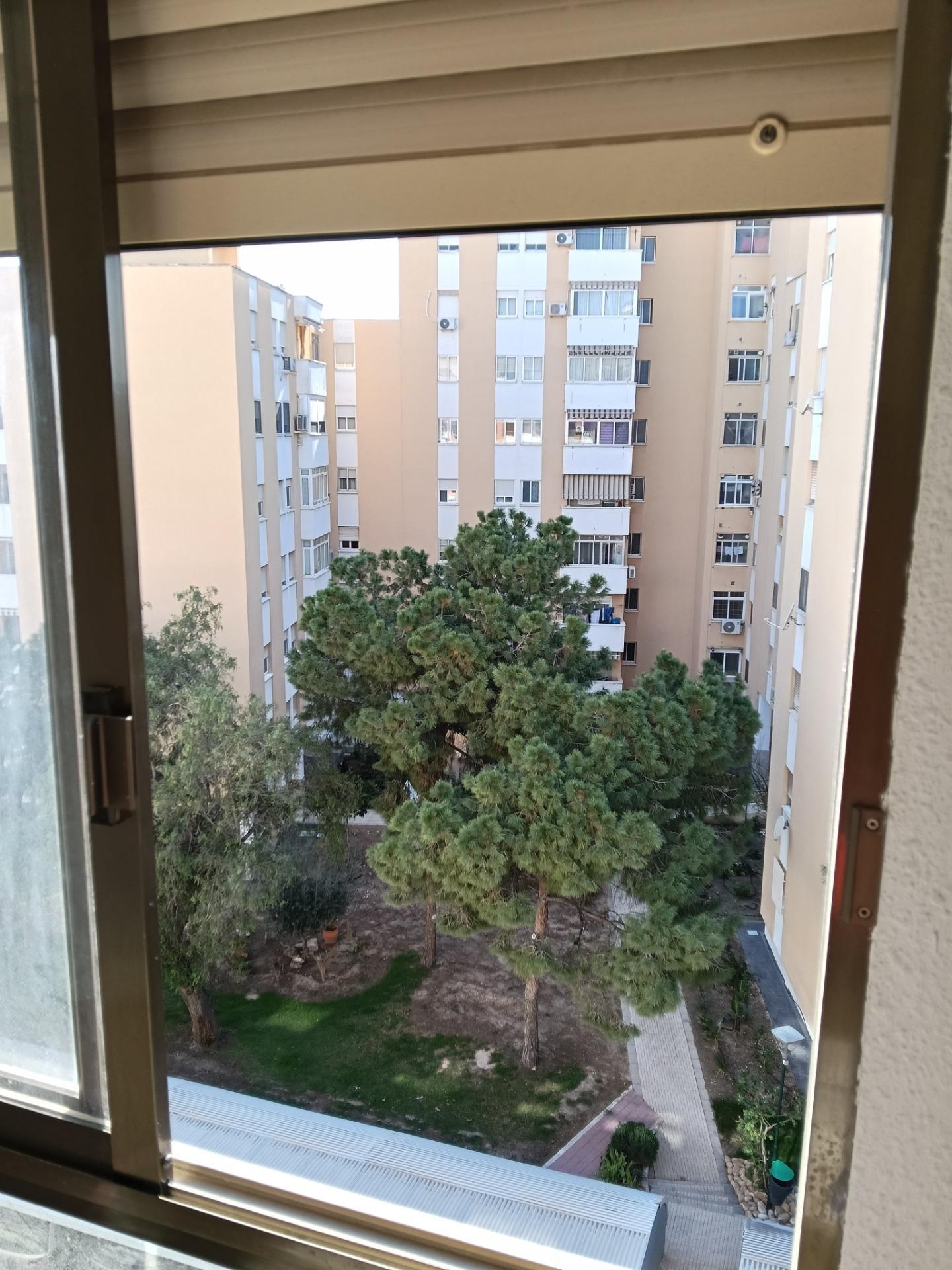 Pisos-Venta-Alicante-2208880-Foto-47