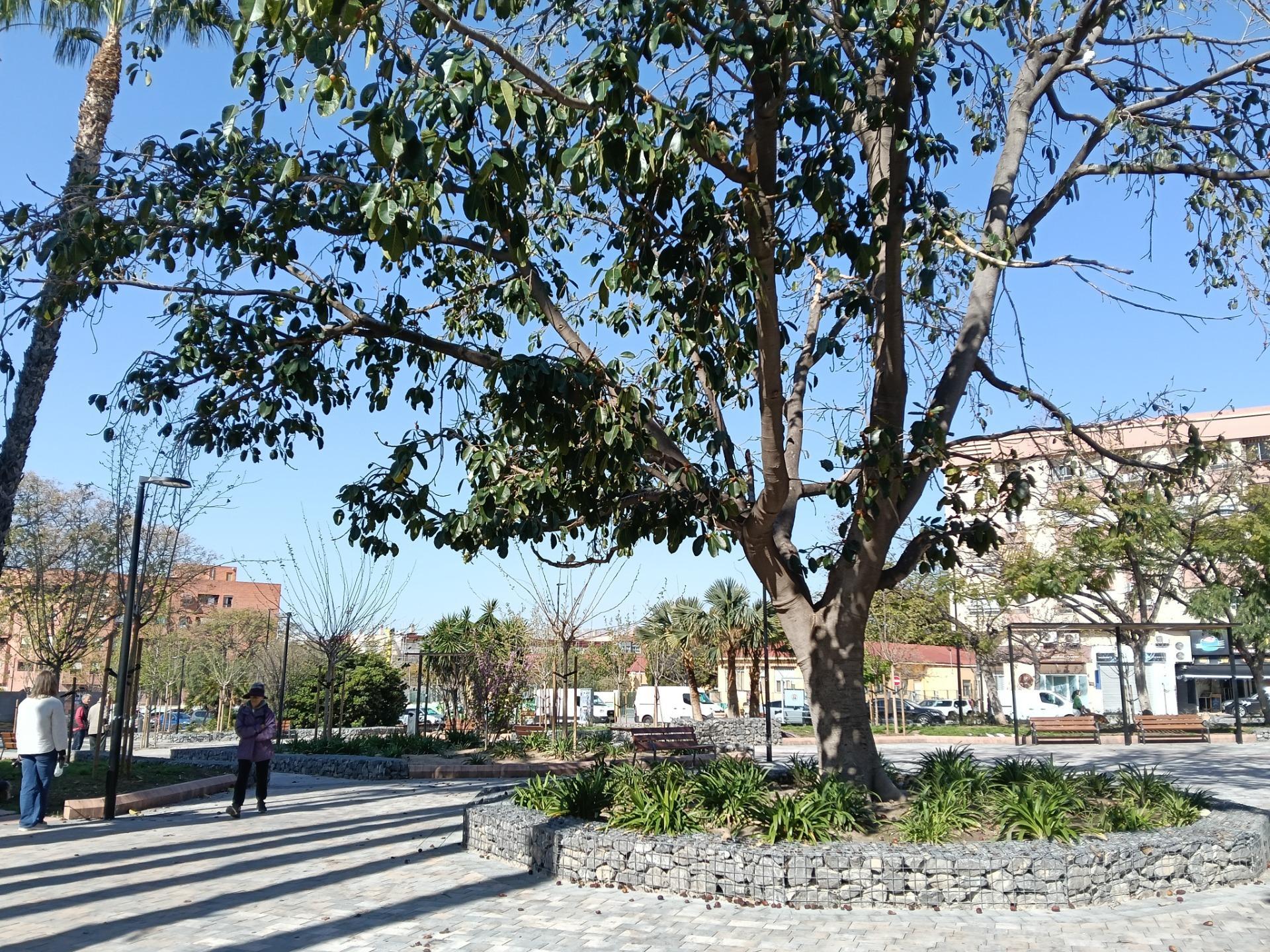 Pisos-Venta-Alicante-2208880-Foto-58