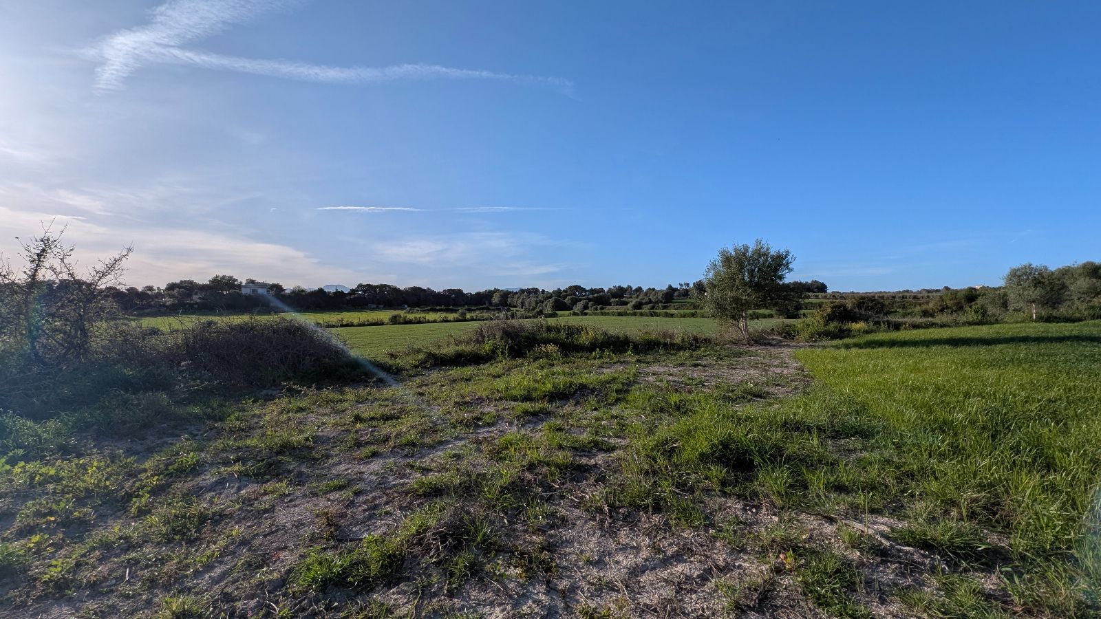Terreno de 15.250 m2 en Muro con vistas a la Tramuntana