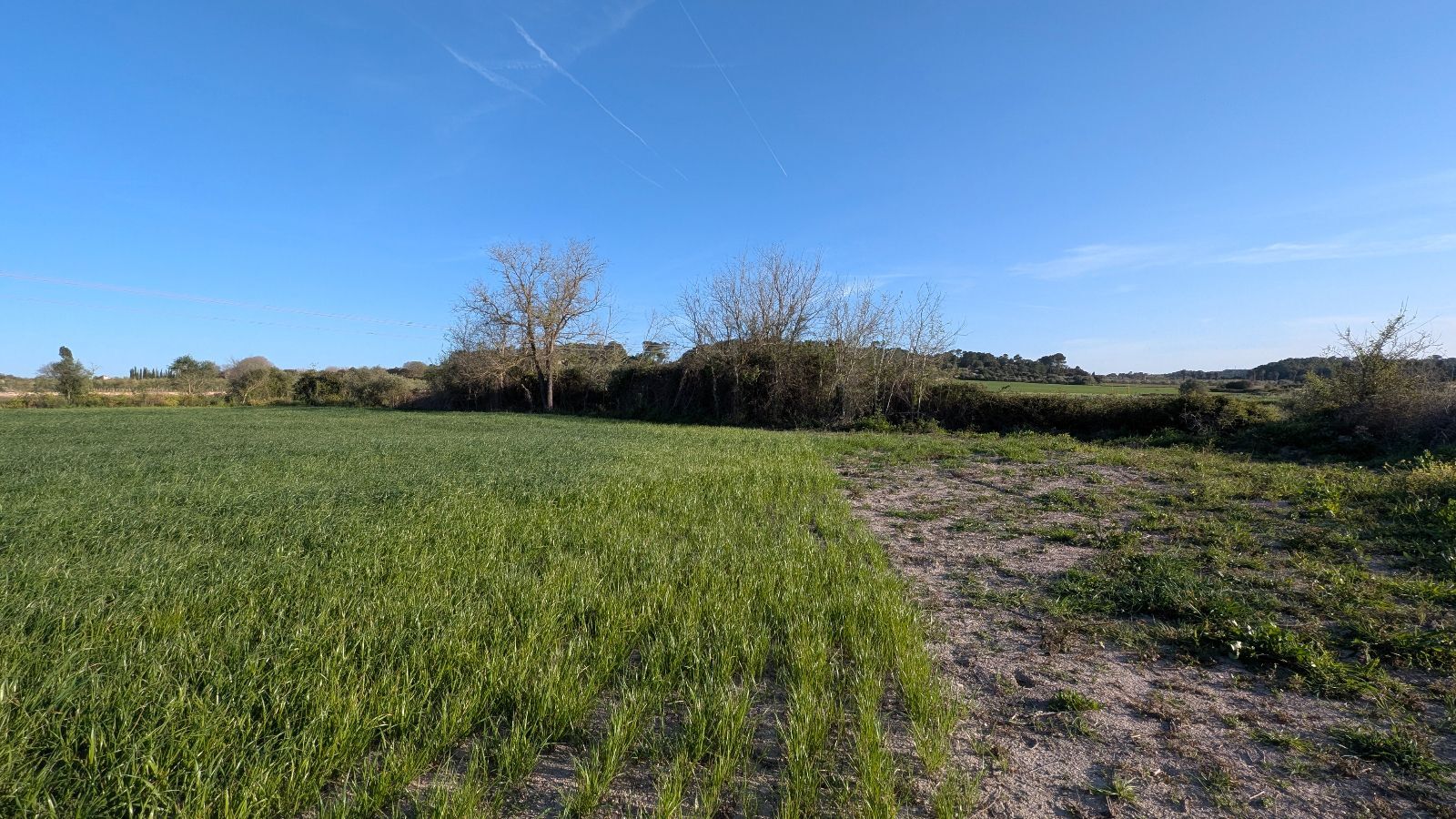 Terreno de 15.250 m2 en Muro con vistas a la Tramuntana
