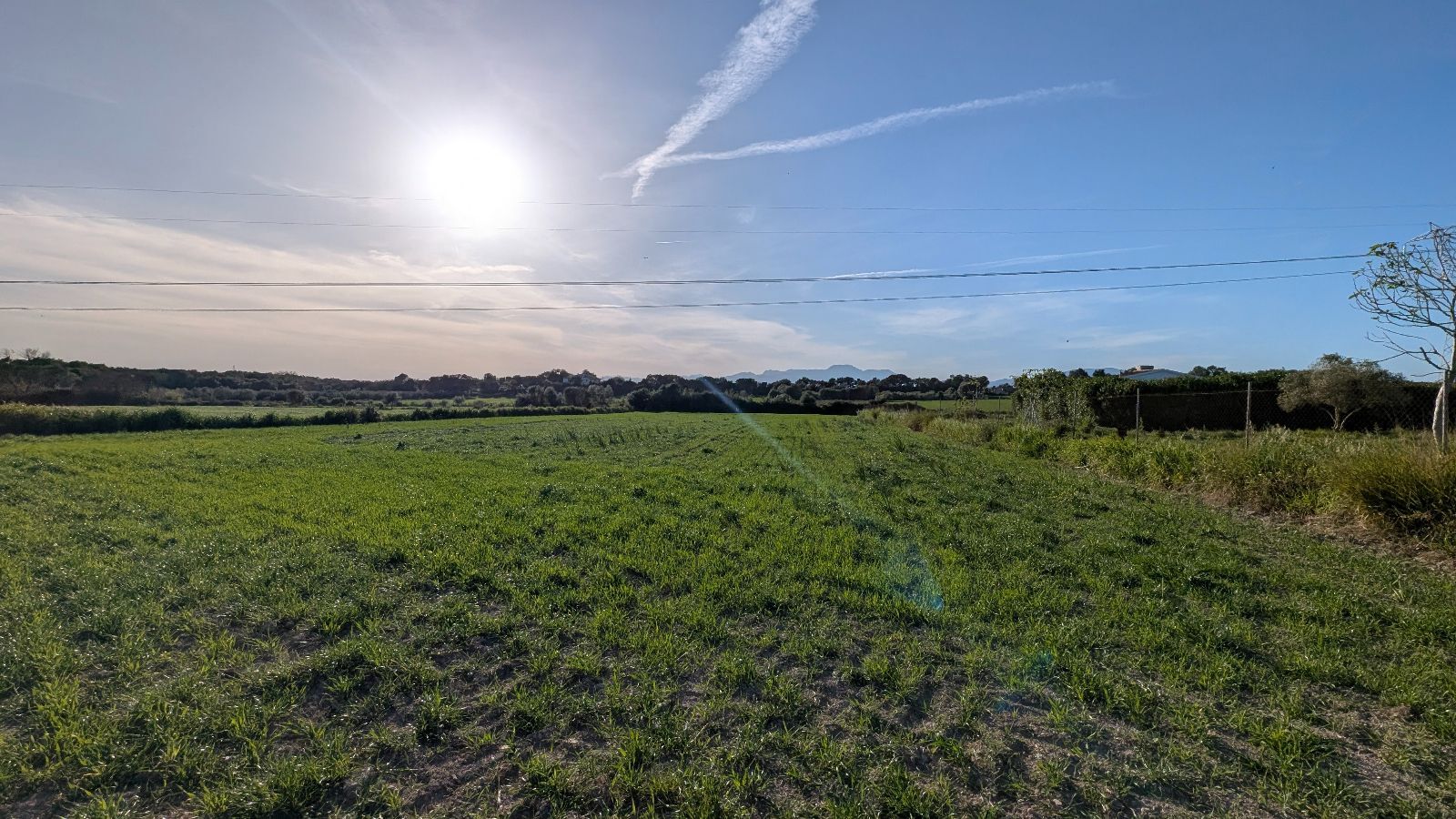 Terreno de 15.250 m2 en Muro con vistas a la Tramuntana