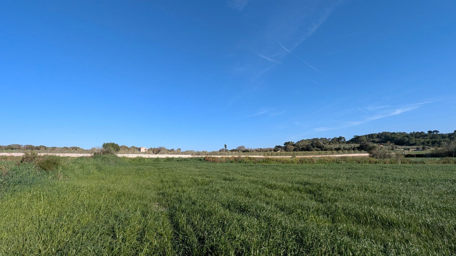 Terreno de 15.250 m2 en Muro con vistas a la Tramuntana