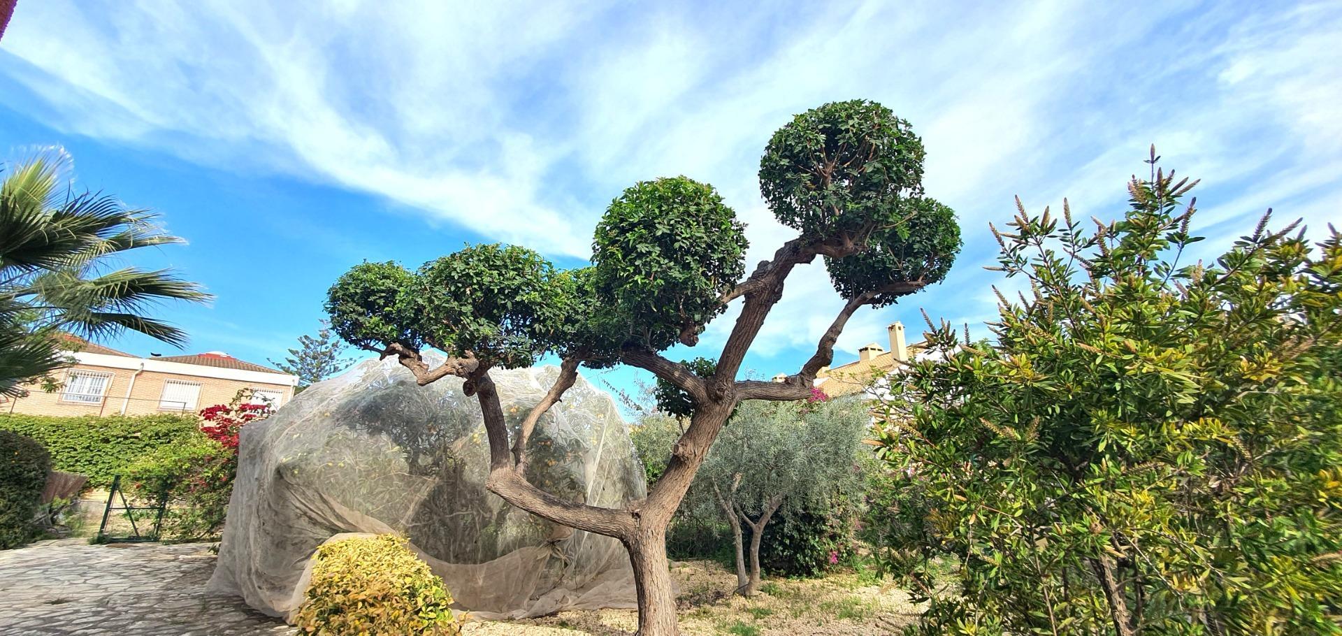 ¿Estáis buscando un Chalet amplio con 500 m2 de edificación y 2.812 m2 de Parcela en la Font de San Juan?