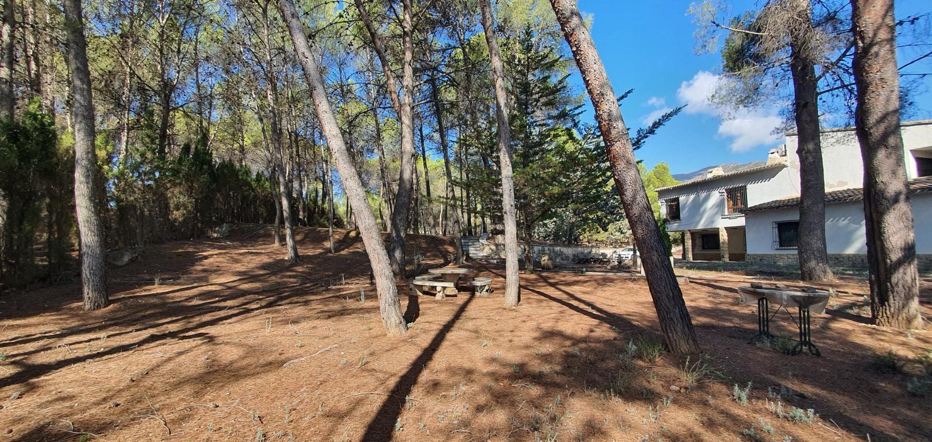 Estupendo Chalet independiente con parcela propia de 11.000 m2 y vistas panorámicas.