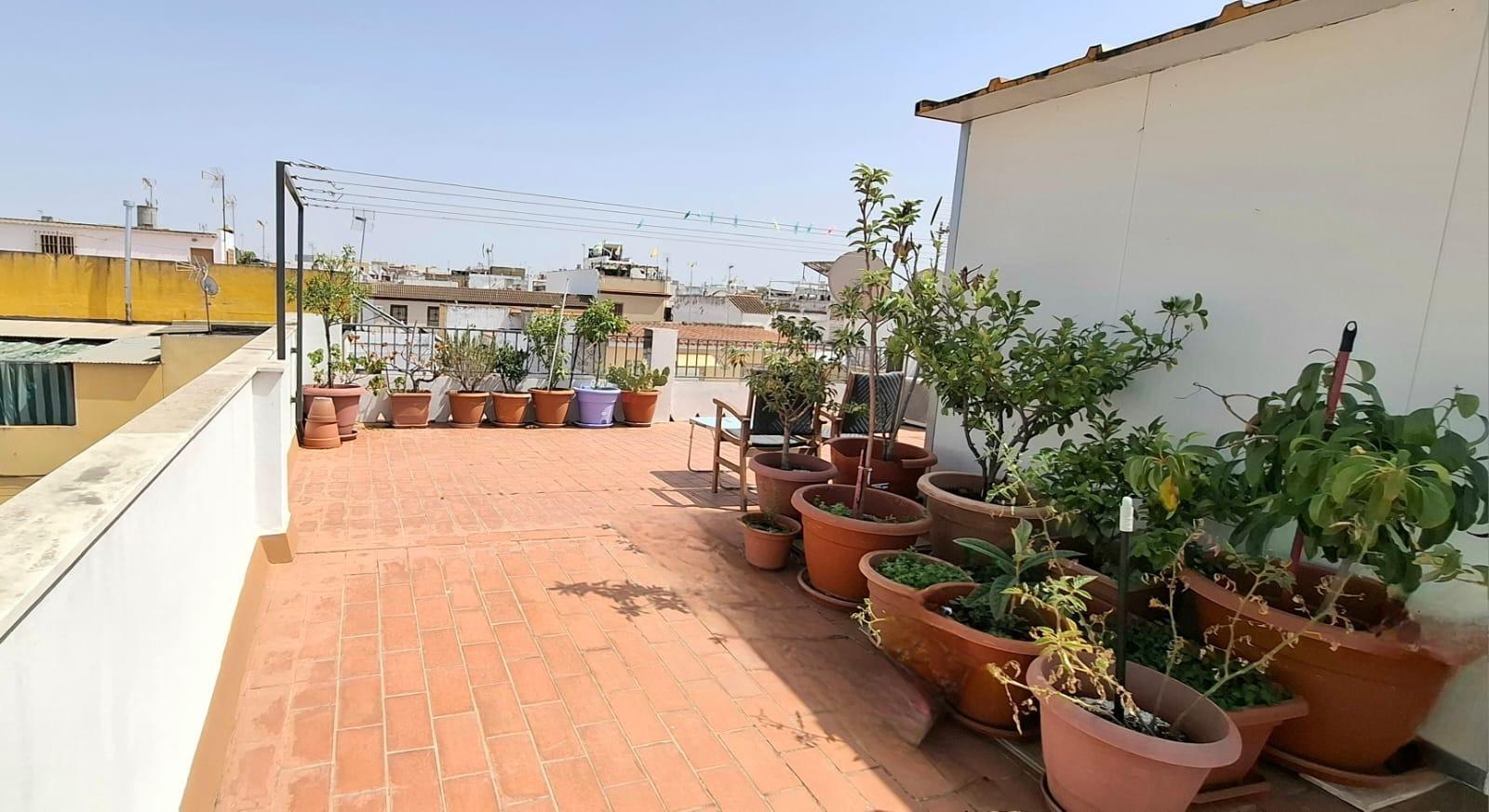 Vivienda Reformada Integralmente en Dos Hermanas ? 2 Plantas, Azotea Privada y Vado Vigente