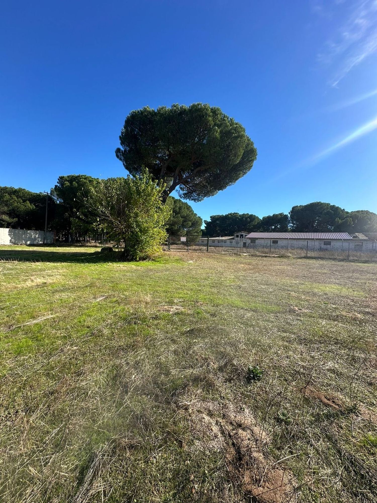 Fincas y solares-Venta-Simancas-1969714-Foto-15