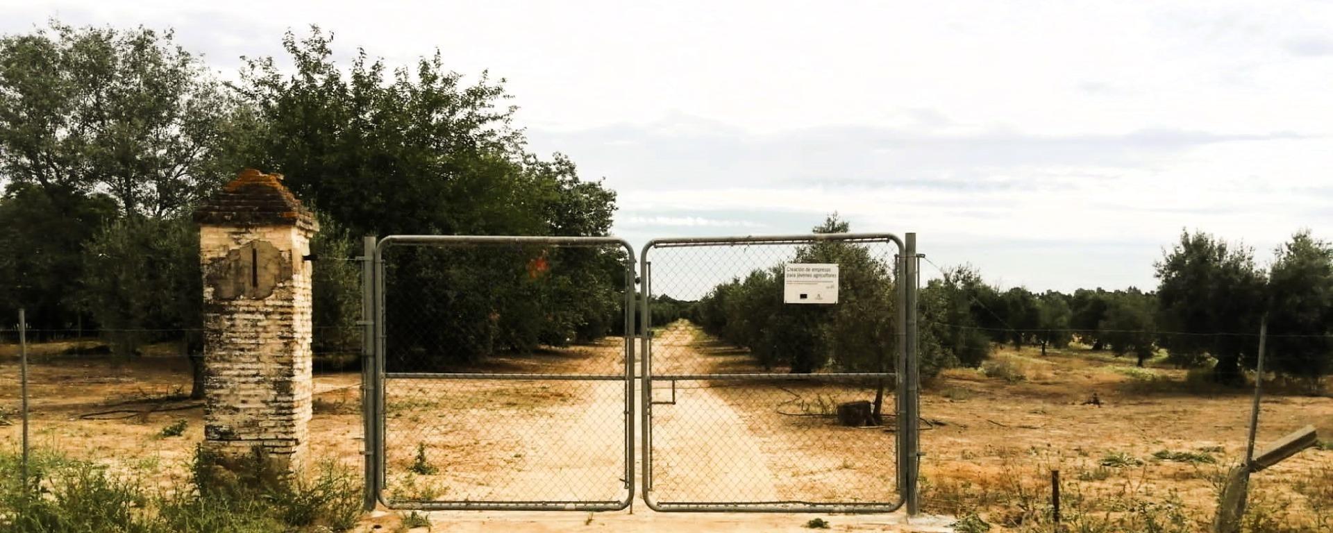 SE VENDE FINCA AGRÍCOLA DE TIERRA CALMA VILLAMANRIQUE. 6 HAS. REGADÍO (POSIB. ALQ. OPCIÓN A COMPRA)