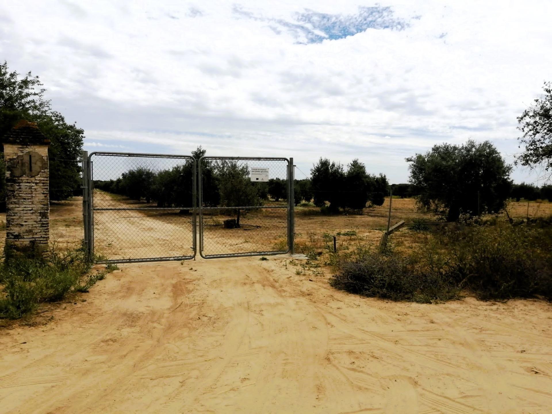 SE VENDE FINCA AGRÍCOLA DE TIERRA CALMA VILLAMANRIQUE. 6 HAS. REGADÍO (POSIB. ALQ. OPCIÓN A COMPRA)