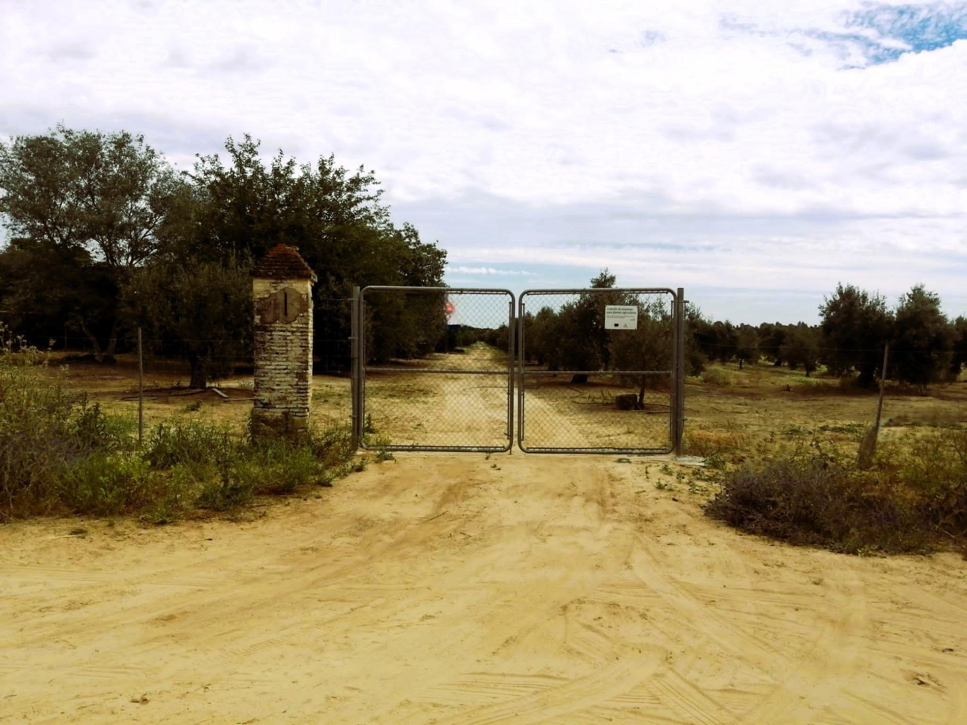 SE VENDE FINCA AGRÍCOLA DE TIERRA CALMA VILLAMANRIQUE. 6 HAS. REGADÍO (POSIB. ALQ. OPCIÓN A COMPRA)