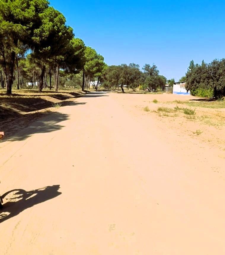 SE VENDE FINCA AGRÍCOLA DE TIERRA CALMA VILLAMANRIQUE. 6 HAS. REGADÍO (POSIB. ALQ. OPCIÓN A COMPRA)