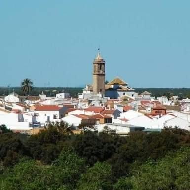 SE VENDE FINCA AGRÍCOLA DE TIERRA CALMA VILLAMANRIQUE. 6 HAS. REGADÍO (POSIB. ALQ. OPCIÓN A COMPRA)