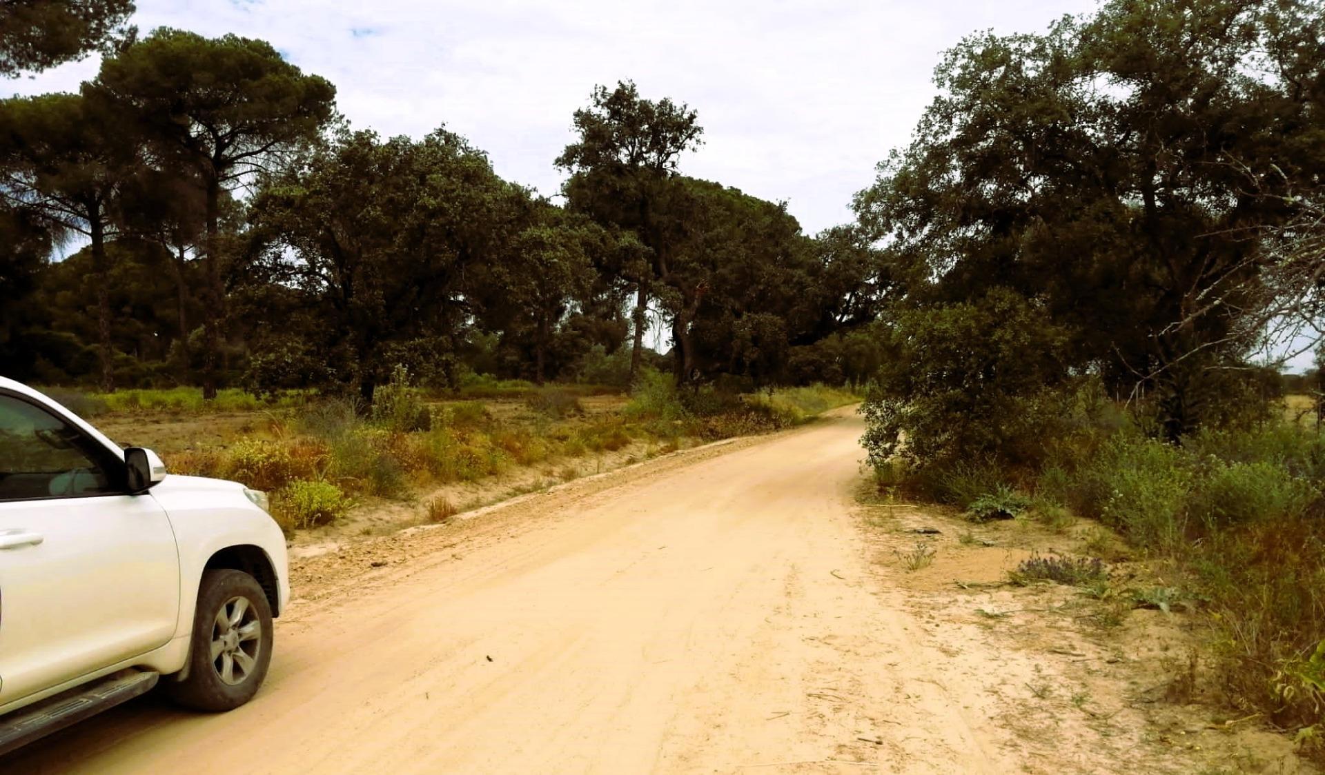 SE VENDE FINCA AGRÍCOLA DE TIERRA CALMA VILLAMANRIQUE. 6 HAS. REGADÍO (POSIB. ALQ. OPCIÓN A COMPRA)