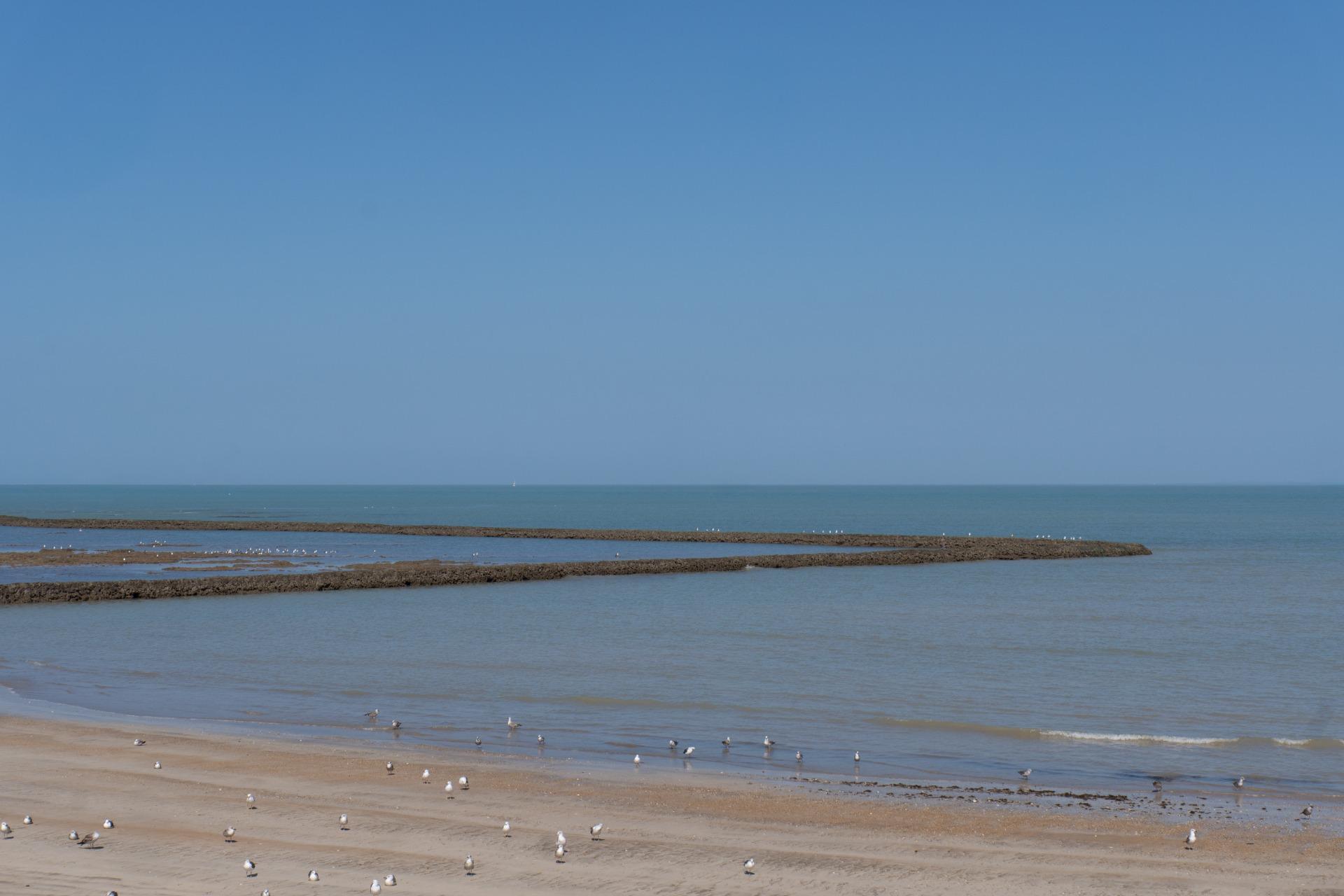 Casas o chalets-Venta-Chipiona-2210567-Foto-30