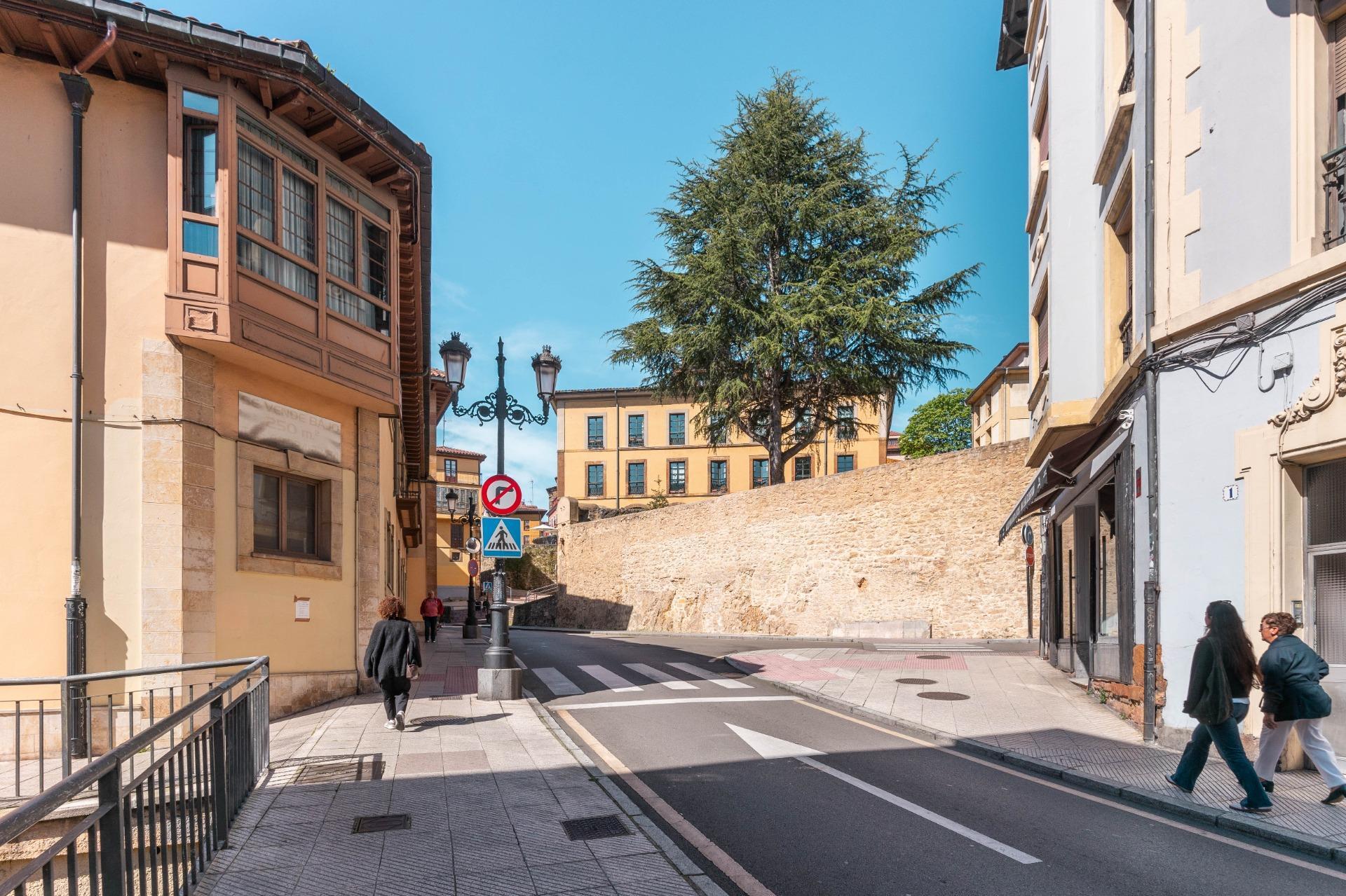 Pisos-Venta-Oviedo-2210071-Foto-45