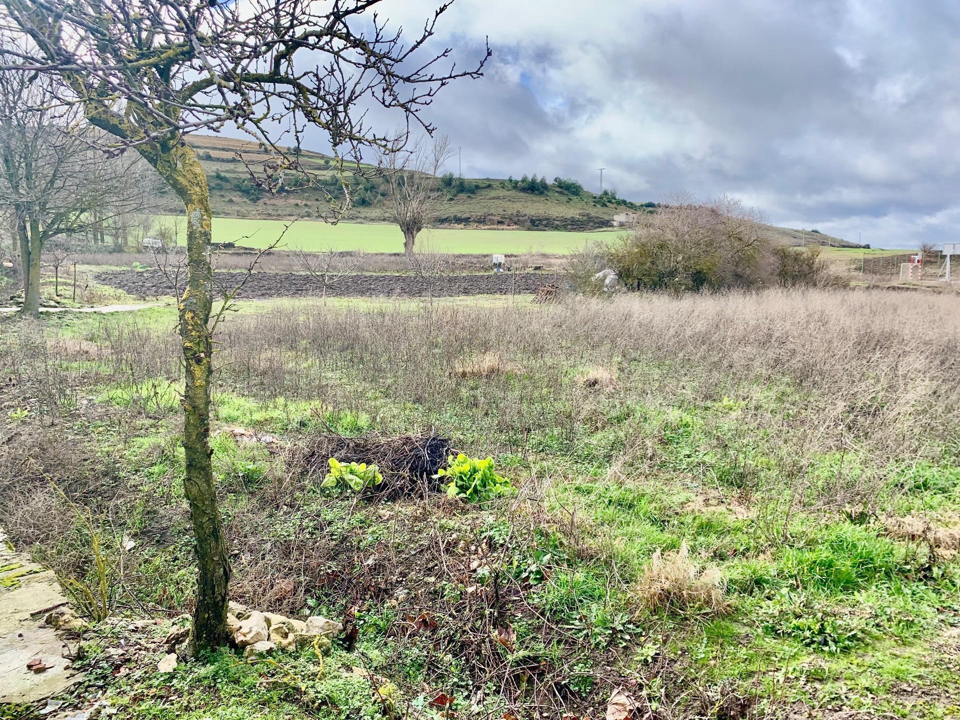 Casas o chalets-Venta-Valle de las Navas-2210074-Foto-39