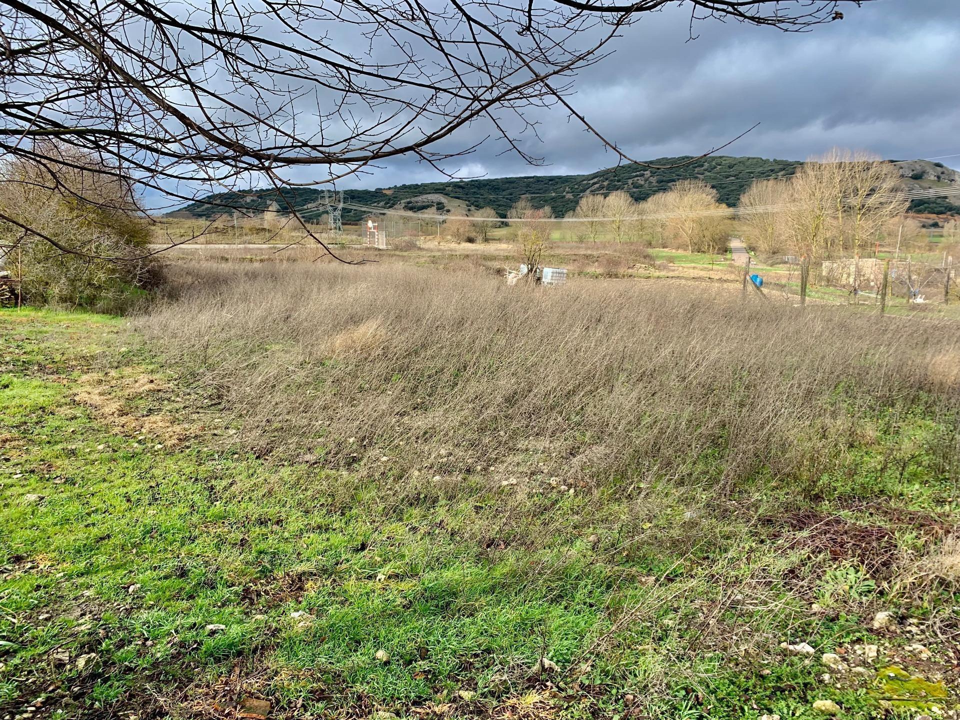 Casas o chalets-Venta-Valle de las Navas-2210074-Foto-41