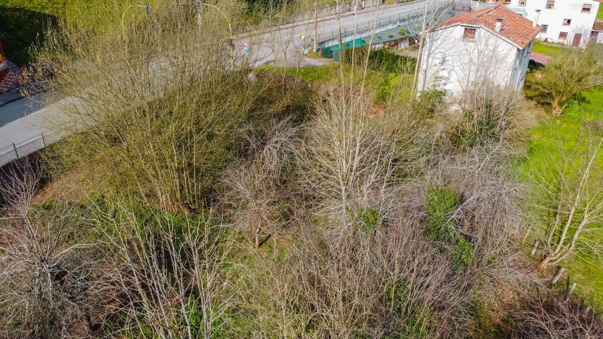 PRECIOSA Y SOLEADA FINCA RODEADA DE NATURALEZA EN BIMENES, A NADA DE NAVA LA COMARCA DE LA SIDRA Y PRINCIPALES CIUDADES