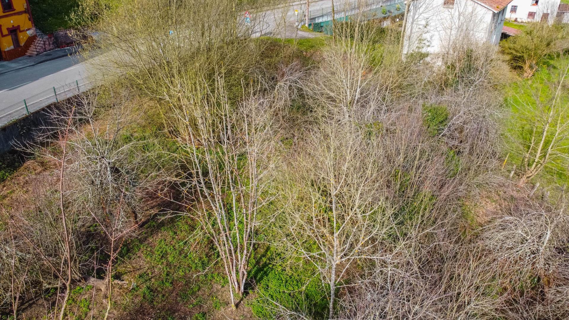 PRECIOSA Y SOLEADA FINCA RODEADA DE NATURALEZA EN BIMENES, A NADA DE NAVA LA COMARCA DE LA SIDRA Y PRINCIPALES CIUDADES