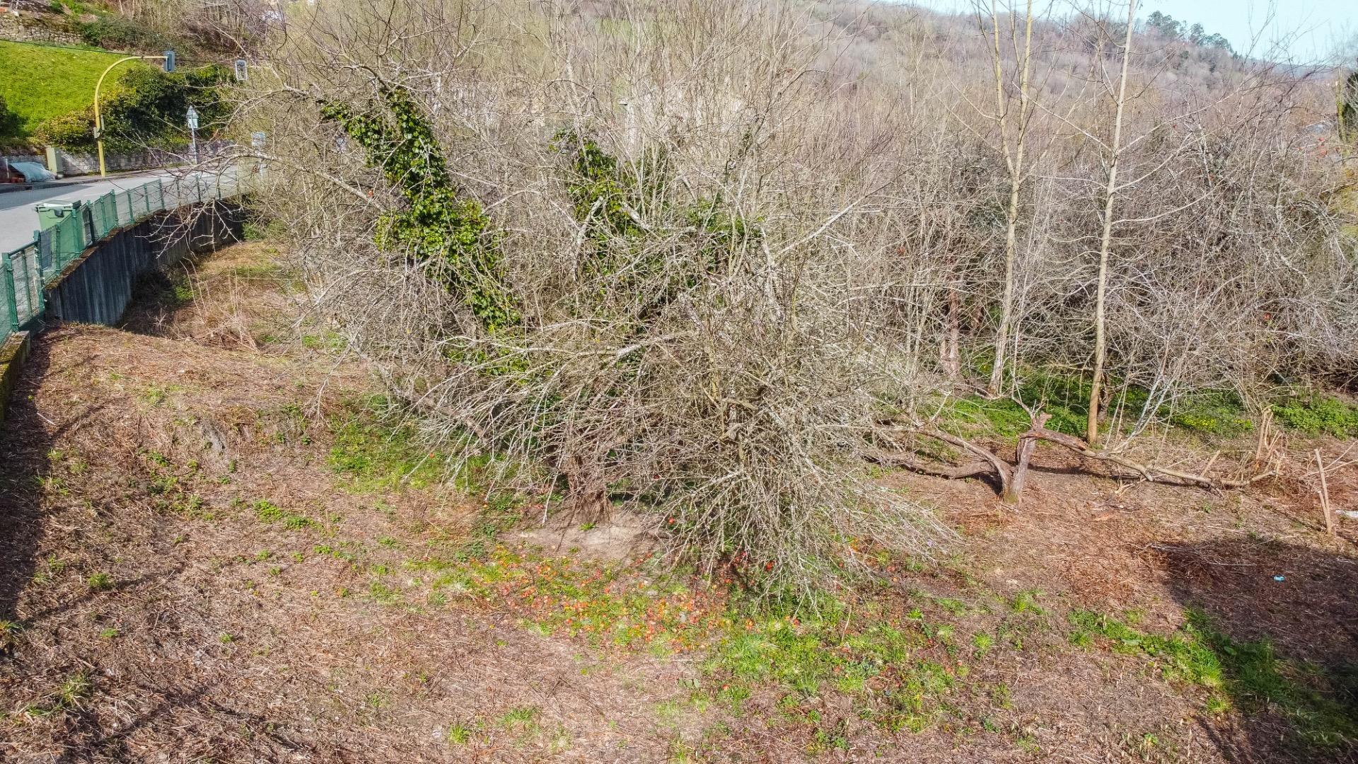 PRECIOSA Y SOLEADA FINCA RODEADA DE NATURALEZA EN BIMENES, A NADA DE NAVA LA COMARCA DE LA SIDRA Y PRINCIPALES CIUDADES