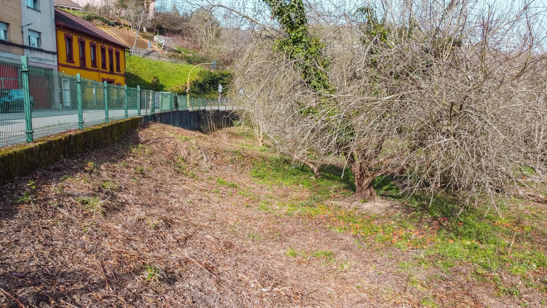 PRECIOSA Y SOLEADA FINCA RODEADA DE NATURALEZA EN BIMENES, A NADA DE NAVA LA COMARCA DE LA SIDRA Y PRINCIPALES CIUDADES