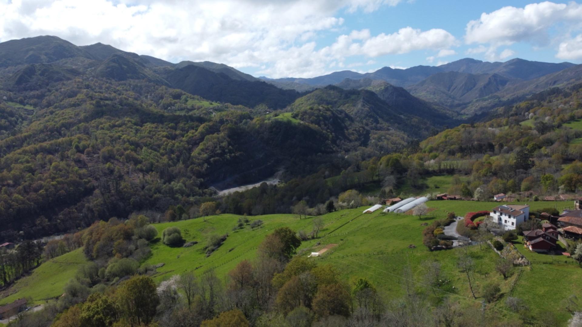 Casas o chalets-Venta-PiloÃ±a-2210086-Foto-30