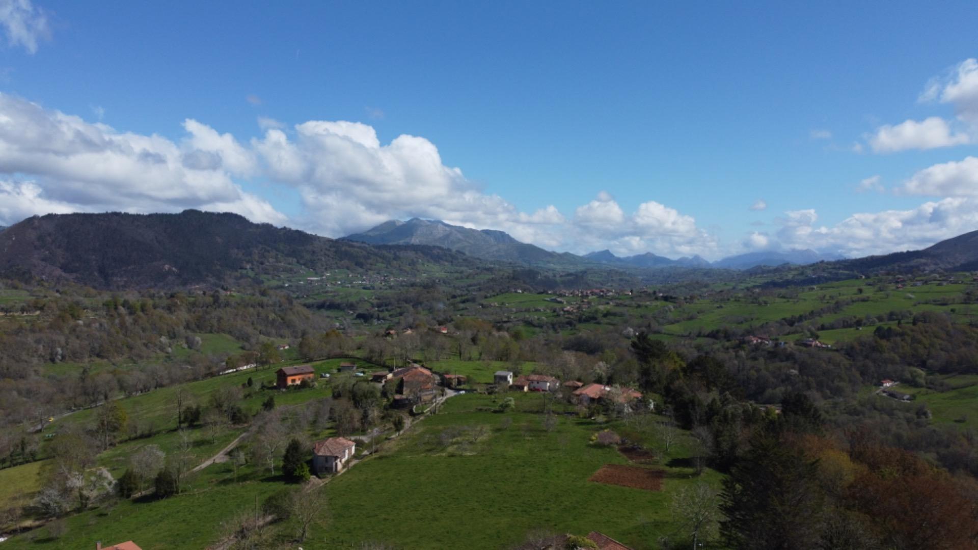 Casas o chalets-Venta-PiloÃ±a-2210086-Foto-32