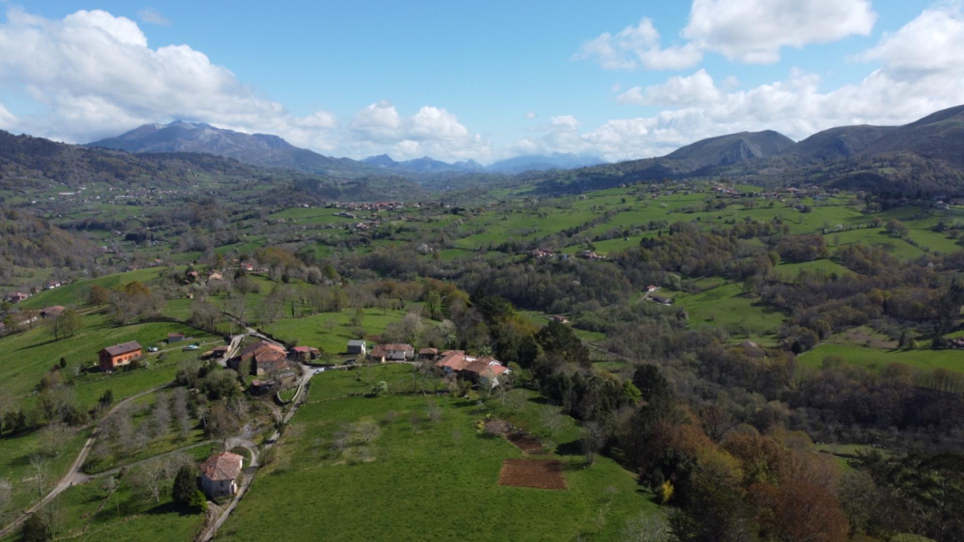 Casas o chalets-Venta-PiloÃ±a-2210086-Foto-31