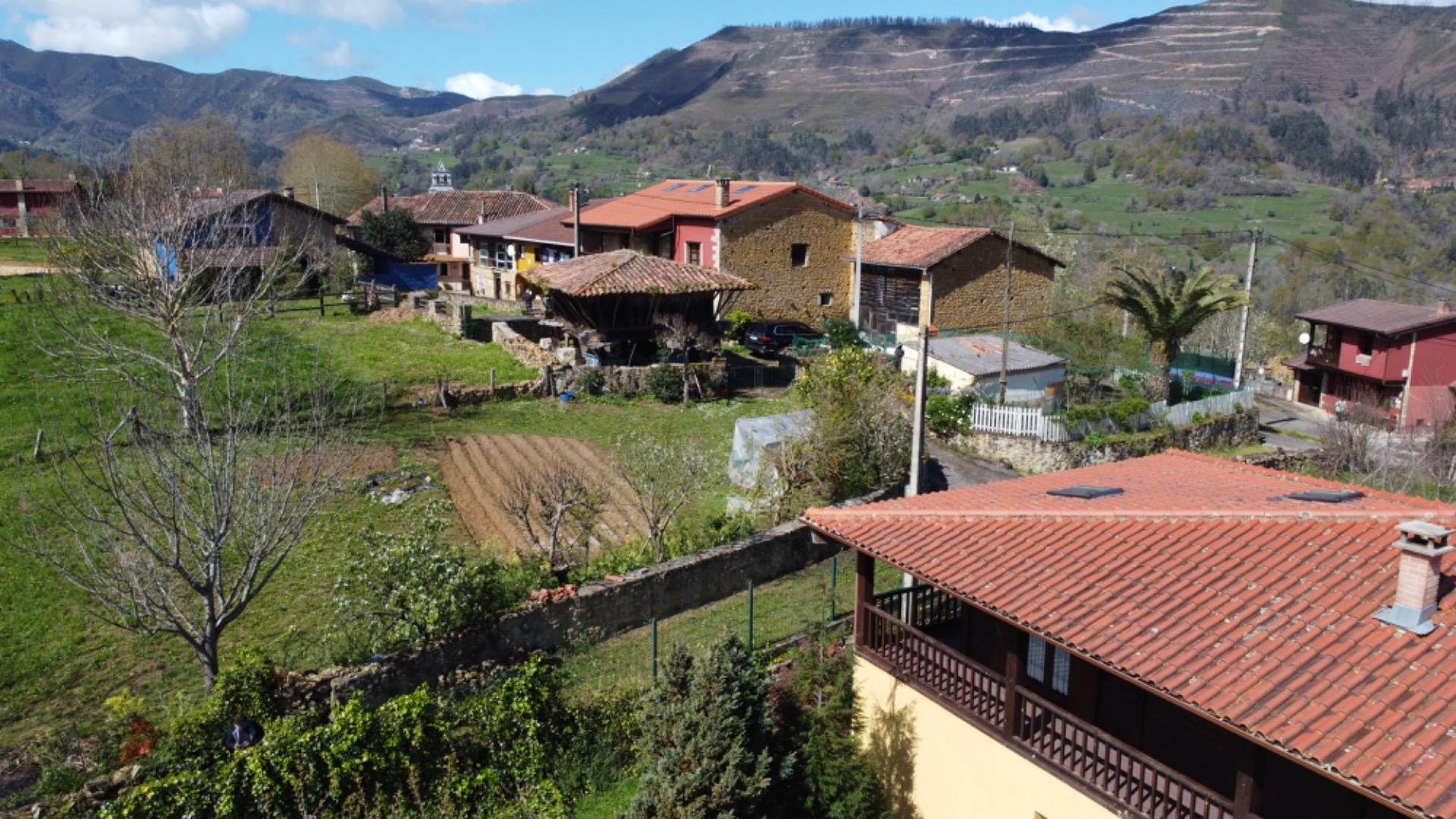 Casas o chalets-Venta-PiloÃ±a-2210086-Foto-33