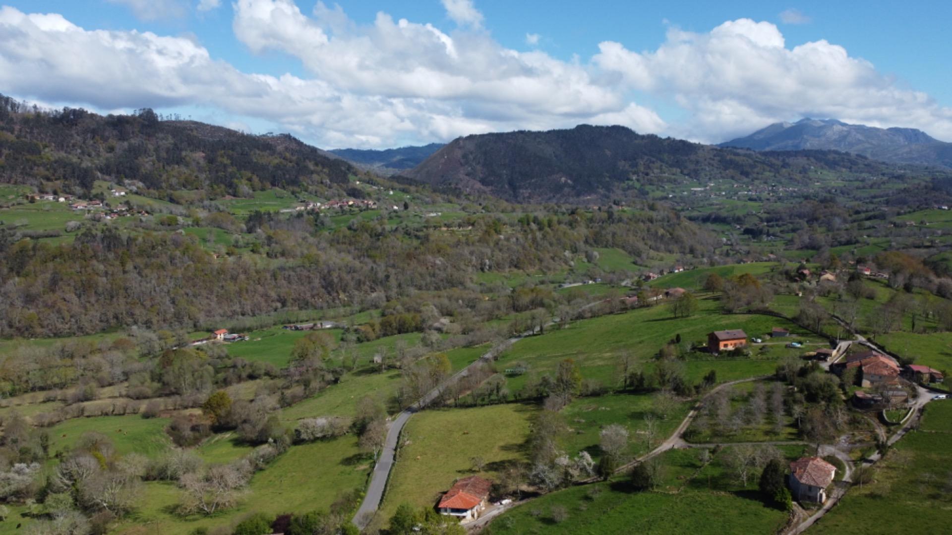 Casas o chalets-Venta-PiloÃ±a-2210086-Foto-36