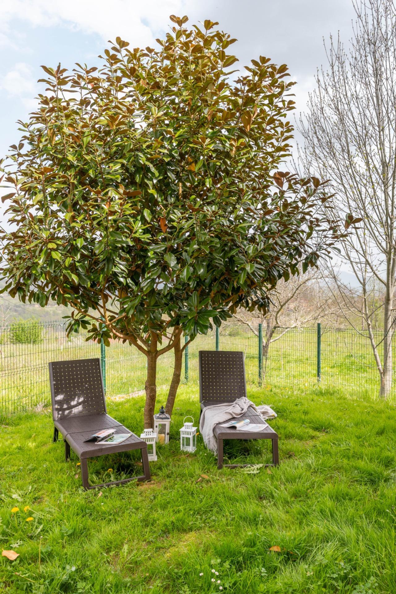 Casas o chalets-Venta-PiloÃ±a-2210086-Foto-49