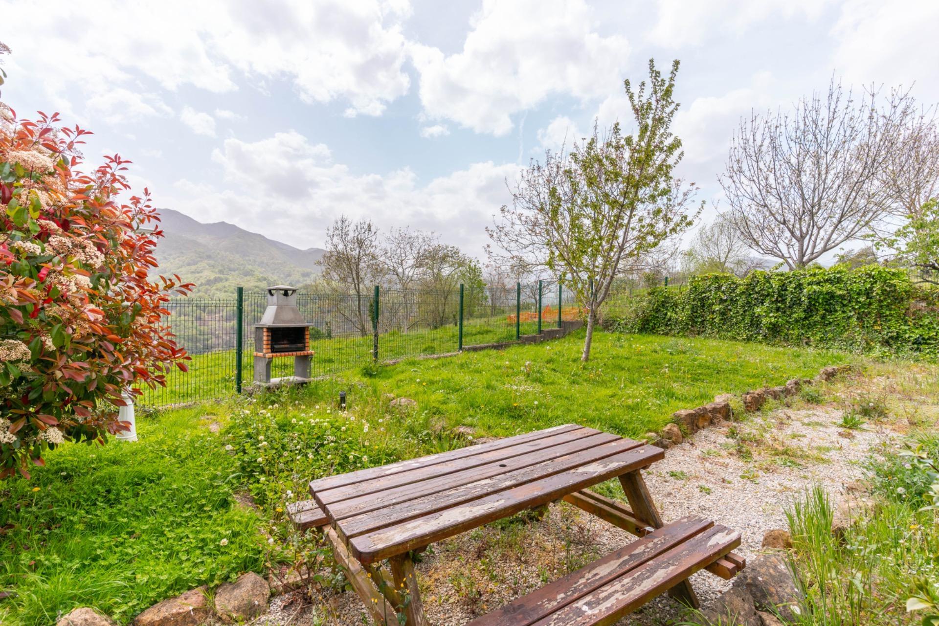 Casas o chalets-Venta-PiloÃ±a-2210086-Foto-52