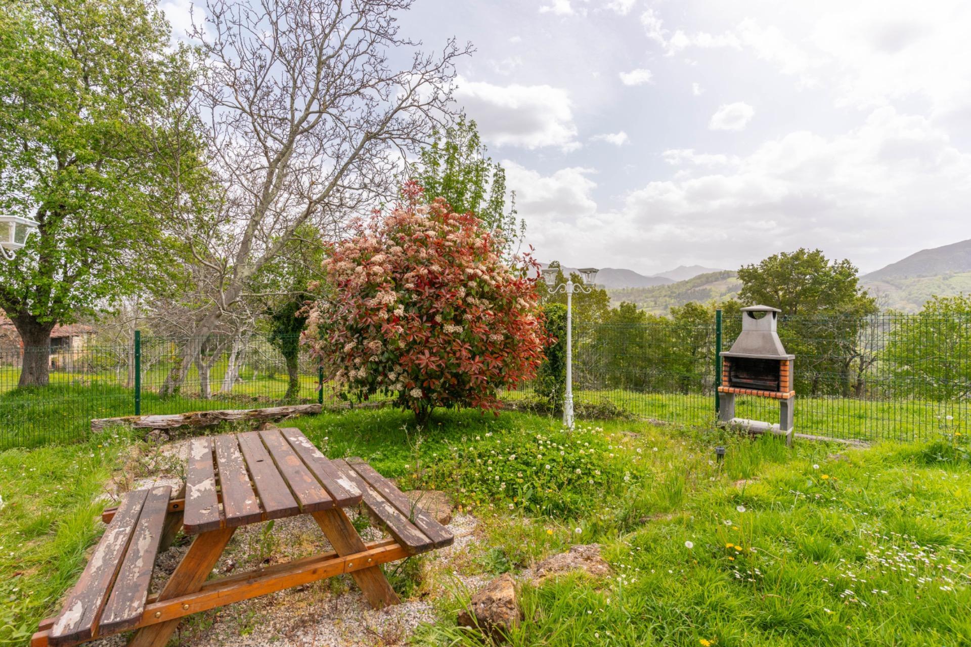 Casas o chalets-Venta-PiloÃ±a-2210086-Foto-57