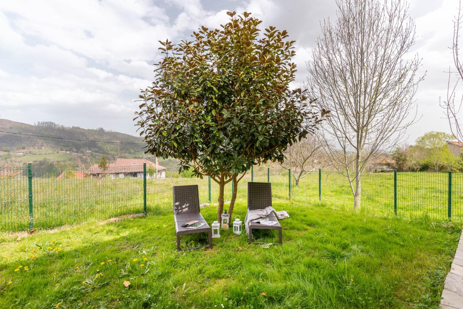 Casas o chalets-Venta-PiloÃ±a-2210086-Foto-64