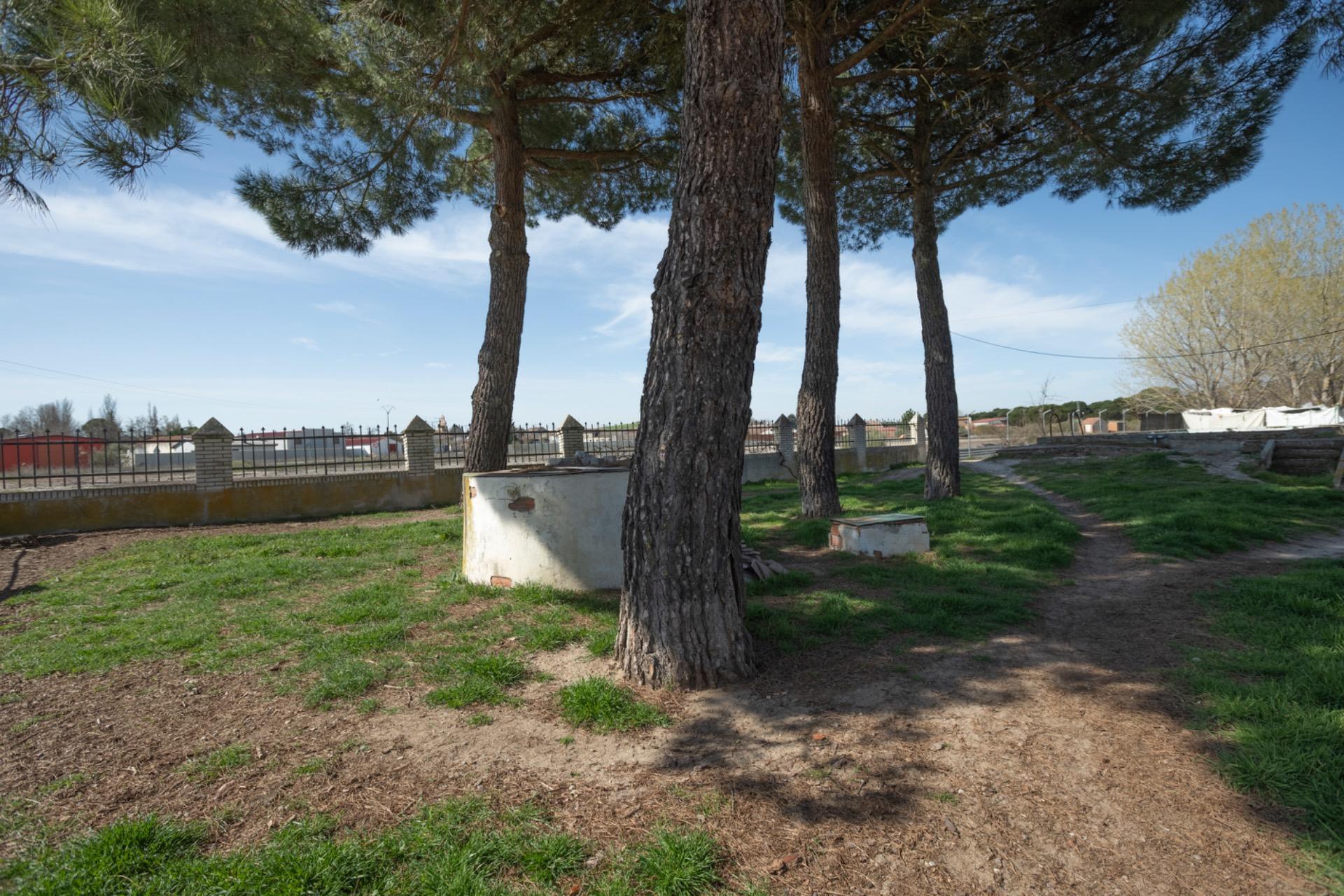 Casa Independiente en Fuente el Olmo de Íscar ??
