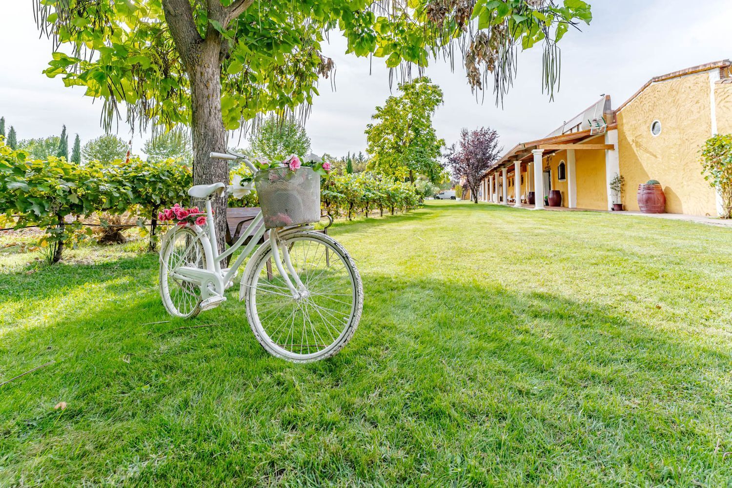 Propiedad en venta en Valladolid, Laguna de Duero