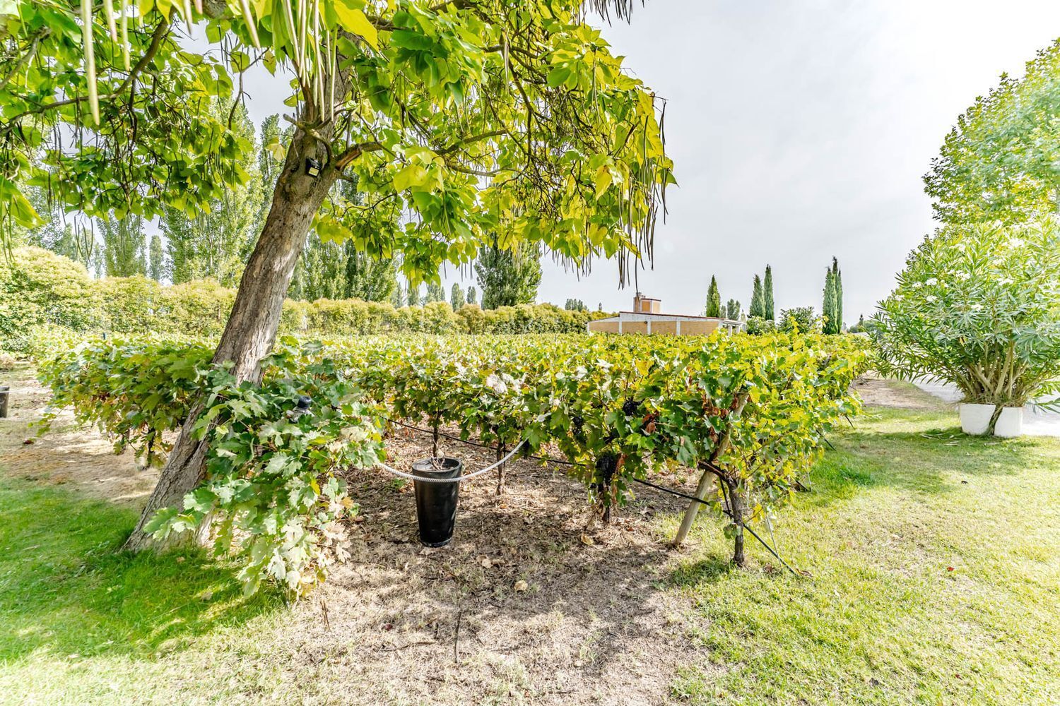 Propiedad en venta en Valladolid, Laguna de Duero